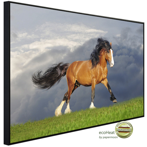 Bild von papermoon Infrarotheizung »EcoHeat - Zugpferd«, Matt-Effekt - bunt
