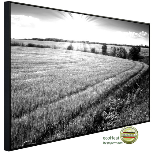 Bild von papermoon Infrarotheizung »EcoHeat - Landschaft schwarz + weiss«, Matt-Effekt - bunt