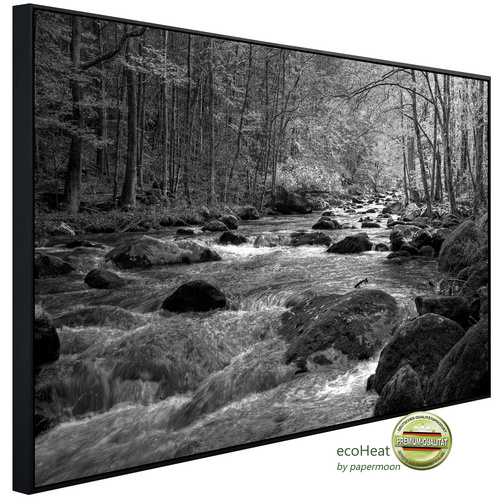 Bild von papermoon Infrarotheizung »EcoHeat - Fluss im Wald Schwarz + Weiss«, Matt-Effekt - bunt
