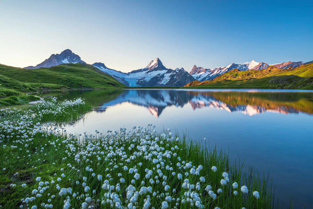 Bild von Papermoon Fototapete "LANDSCHAFT-GEBIRGE BERGE SEE ALPEN BLUMEN NATUR TAPETE"