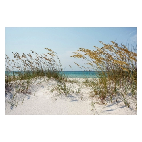 Bild von Papermoon Fototapete "DÜNEN-MEER SEE KÜSTE NORDSEE OSTSEE STRAND SYLT BAUM"