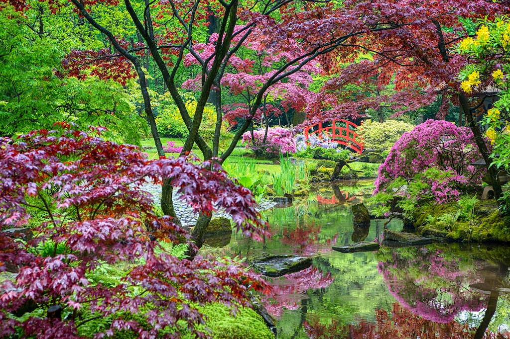 Bild von Papermoon Fototapete "GARTEN-BLUMEN BÄUME PFLANZEN PARK STEINE BLÜTEN WALD"