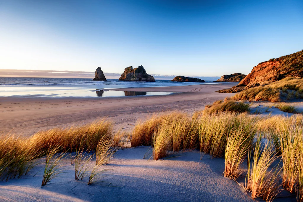 Bild von Papermoon Fototapete "DÜNEN-WHARARIKI BEACH MEER SEE KÜSTE STRAND SYLT BAUM"