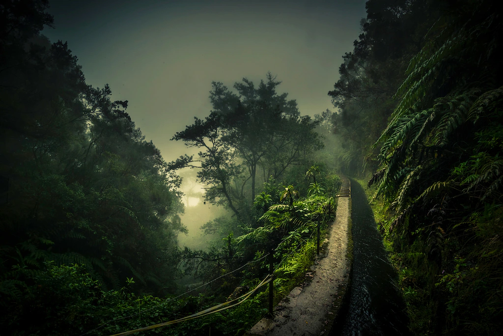 Bild von Papermoon Fototapete "Photo-Art ROLAND WEBER, LEVADA WALK"