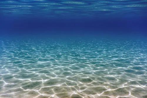 Bild von Papermoon Fototapete "UNTERWASSER-WELT-OZEANE SEE MEER WASSER SAND DÜNEN"