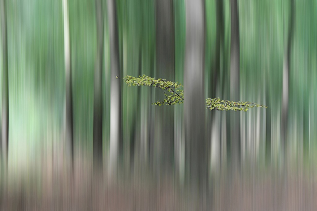 Bild von Papermoon Fototapete "Photo-Art HUIB LIMBERG, SUMMERMHERING"