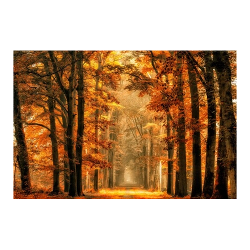 Bild von Papermoon Fototapete »Photo-Art VAN DE, BEENDEN SIE DAS PORTAL«