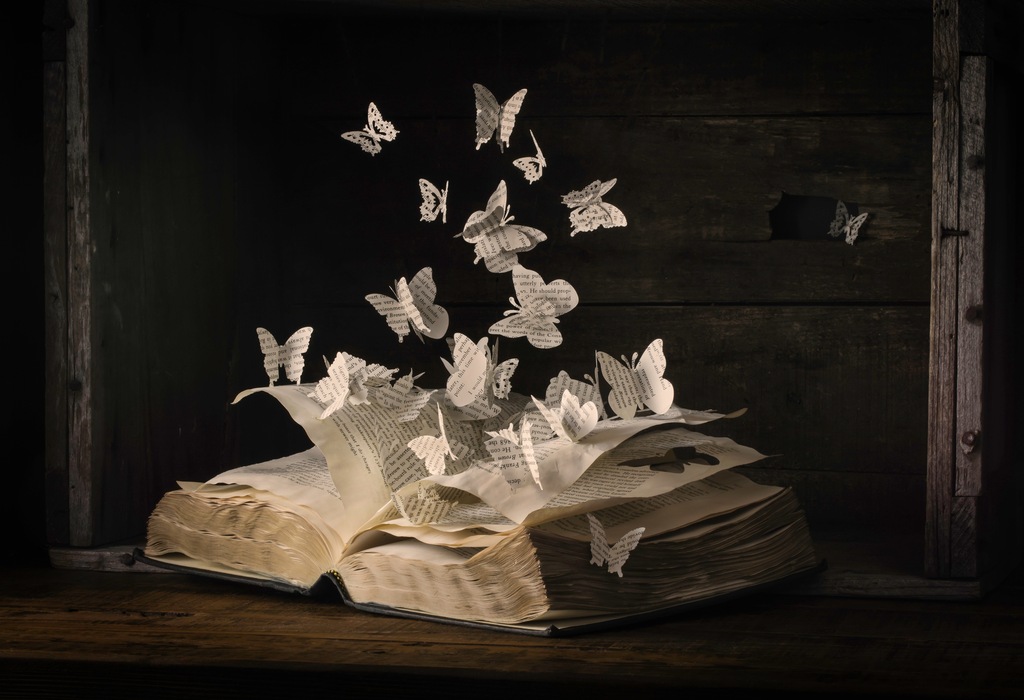 Bild von Papermoon Fototapete "Photo-Art HEATHER BONADIO, LEPIDOPTEROLOGIE"