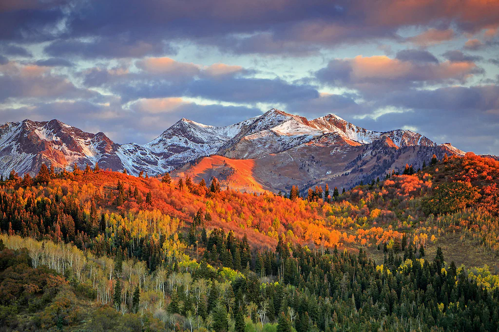 Bild von Papermoon Fototapete "GEBIRGE-HERBST NATUR ALPEN LANDSCHAFT WALD BÄUME BERGE"