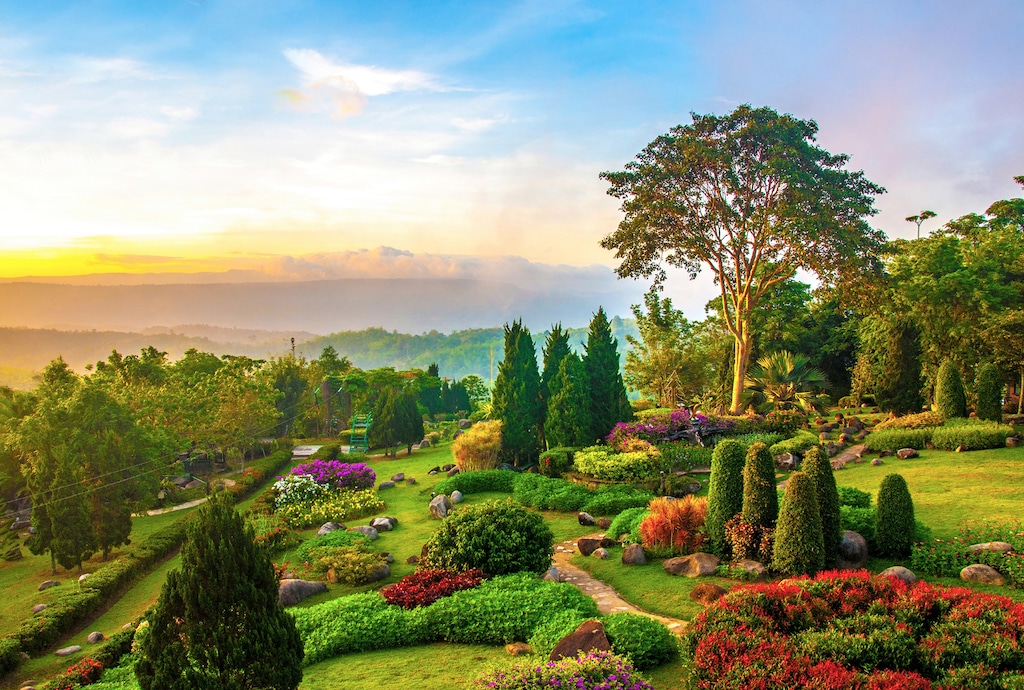 Bild von Papermoon Fototapete "GARTEN-BLUMEN BÄUME PFLANZEN PARK STEINE WALD BLÜTEN"