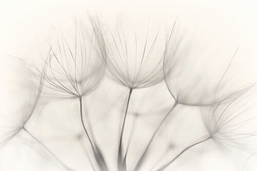 Bild von Papermoon Fototapete "Photo-Art JAKOB ARNHOLTZ, KEIN TITEL"