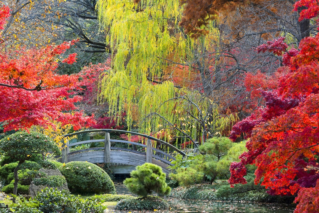 Bild von Papermoon Fototapete "GARTEN-NATUR WALD BÄUME HERBSTLANDSCHAFT BLUMEN SEE XXL"