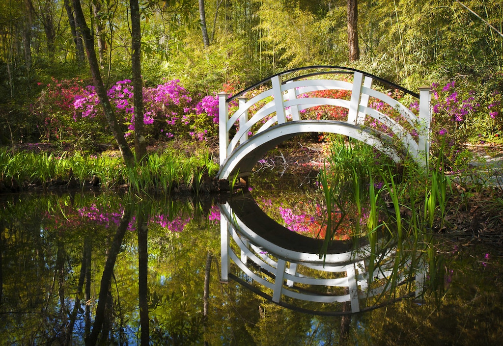 Bild von Papermoon Fototapete "GARTEN-NATUR LANDSCHAFT WALD BÄUME BLUMEN BRÜCKE SEE"