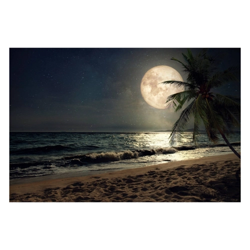 Bild von Papermoon Fototapete "STRAND-NATUR PALMEN MEER DÜNEN MOND PALME LANDSCHAFT"