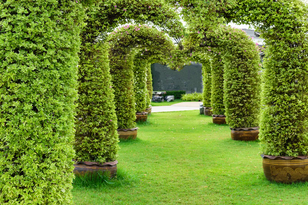 Bild von Papermoon Fototapete "GARTEN-ALLEE BLUMEN BÄUME PFLANZEN STEINE WALD PERGOLA"