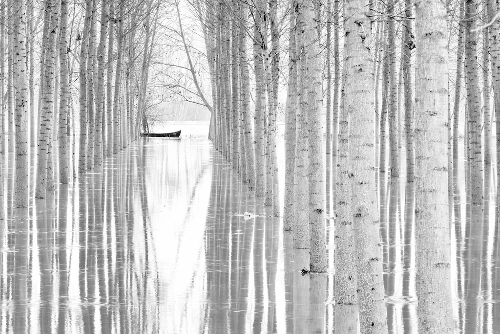 Bild von Papermoon Fototapete "Photo-Art AGLIONI SIMONE, BEWEGUNGSFREIHEIT"