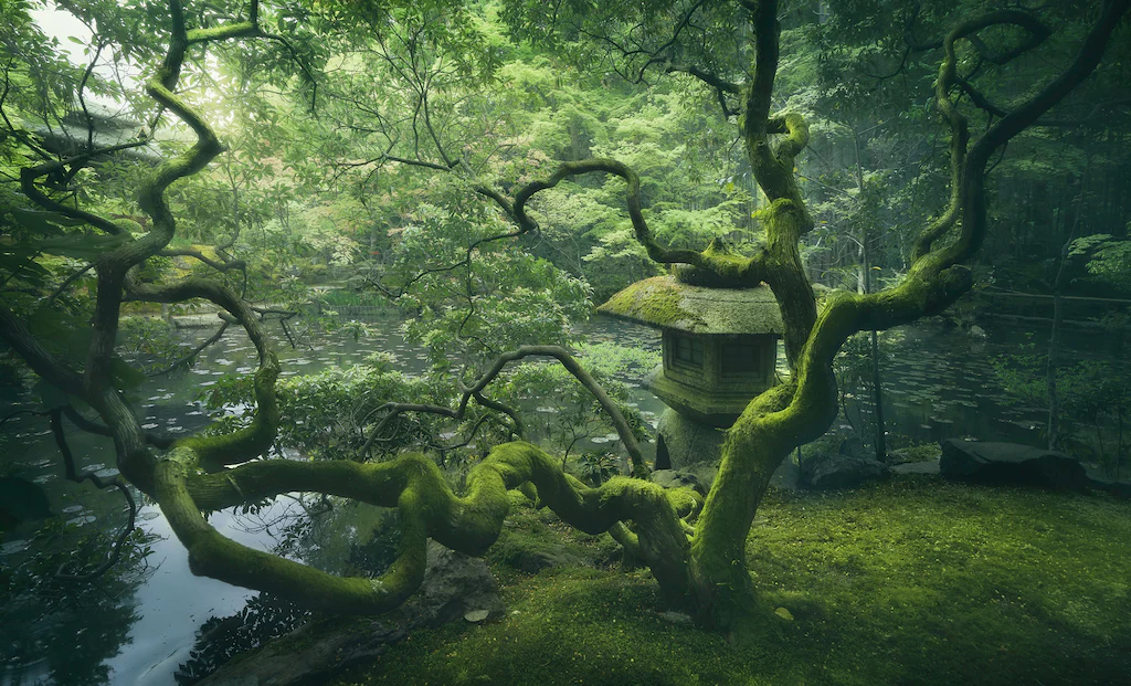 Bild von Papermoon Fototapete "Photo-Art JAVIER DE LA, JAPANISCHER BAUM"