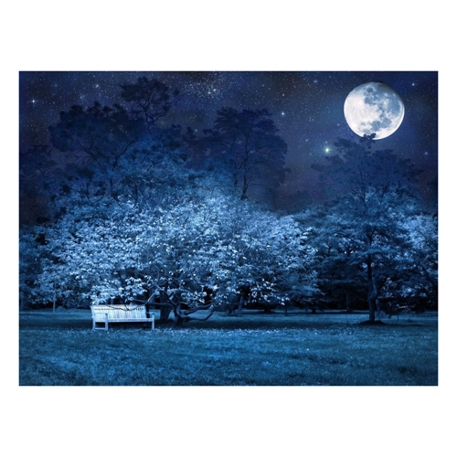 Bild von Papermoon Fototapete VOLLMOND-PARK MOND STERNE NACHT WALD BÄUME MYSTISCH