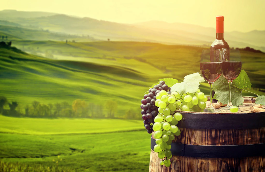 Bild von Papermoon Fototapete "WEINBAU-WEIN TRAUBEN FELD WIESE WEIN SONNE LANDSCHAFT"