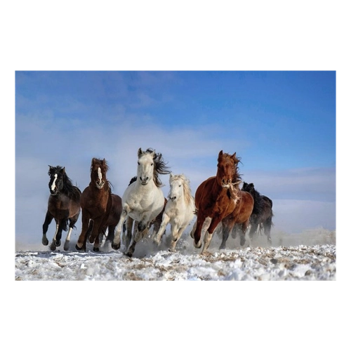 Bild von Papermoon Fototapete Photo-Art LIBBY ZHANG, MONGOLEI-PFERDE – Kunst für Ihre Wände