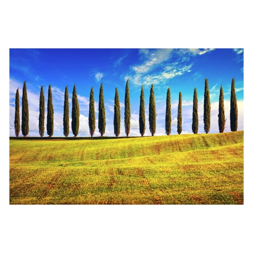 Bild von Papermoon Fototapete "Pappeln am Feld" – Ein Hauch Natur für Ihre Wände