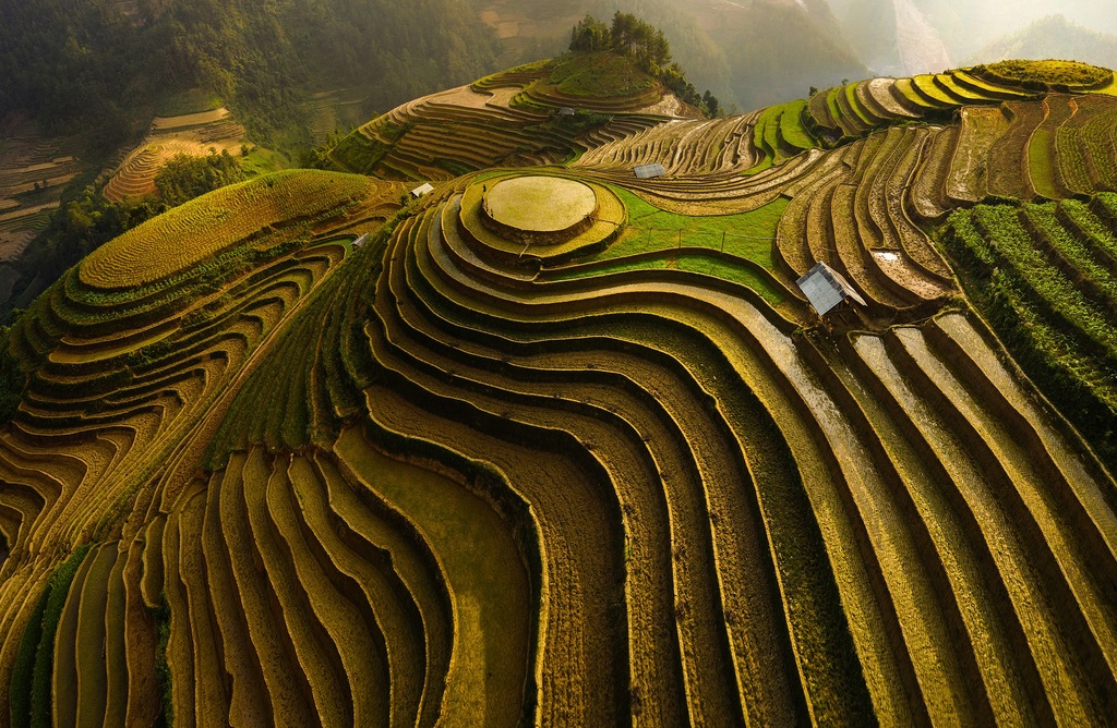Bild von Papermoon Fototapete ĐAO TẤN PHAT, MU CANG CHAI - VIETNAM, samtig, Vliestapete, hochwertiger Digitaldruck, inklusive Kleister