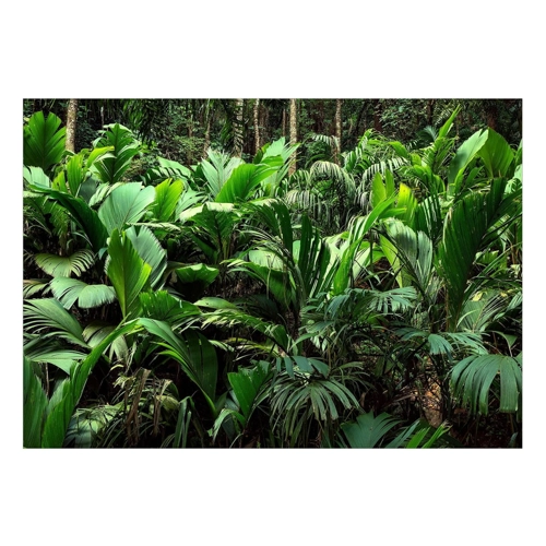 Bild von KUNSTLOFT Vliestapete Freshness of the Jungle 1x0.7 m