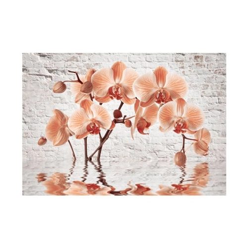 Bild von KUNSTLOFT Vliestapete The Orange Arc