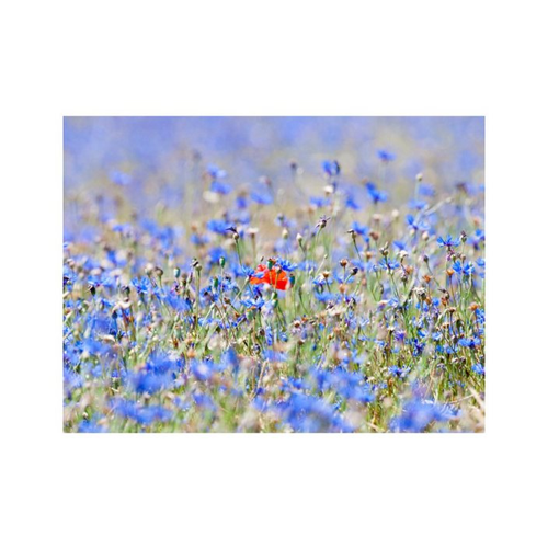 Bild von Basera® Fototapete 100406-114