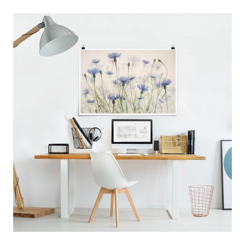 Bild von Poster Kornblumen und Gräser im Feld – Ein Kunstwerk für Ihr Zuhause
