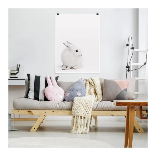 Bild von Poster Arktischer Hase