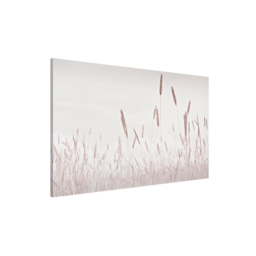 Bild von Magnettafel Sommerliches Schilfgras