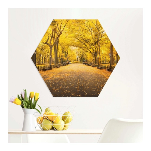 Bild von Hexagon-Forexbild Herbst im Central Park