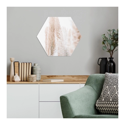 Bild von Hexagon-Forexbild Pampasgras im Weißen Licht
