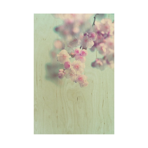 Bild von Holzbild Farbenfrohe Kirschblüten