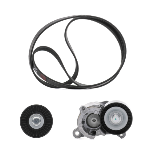 Bild von RIDEX PLUS 542R0214P Keilrippenriemensatz für PEUGEOT, CITROËN und LANCIA