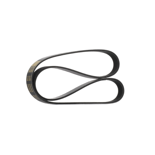 Bild von RIDEX PLUS 305P0066P Keilrippenriemen für FORD und OPEL