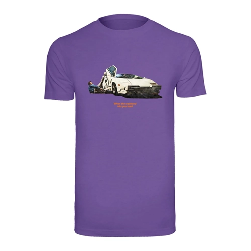 Bild von Mister Tee Herren Weekend Wolf Tee M Ocean Blue – Produktcheck