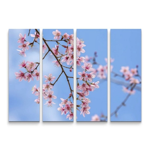 Bild von Sinus Art Leinwandbild Pinke Frühlingsblüten – Kunst für Ihr Zuhause