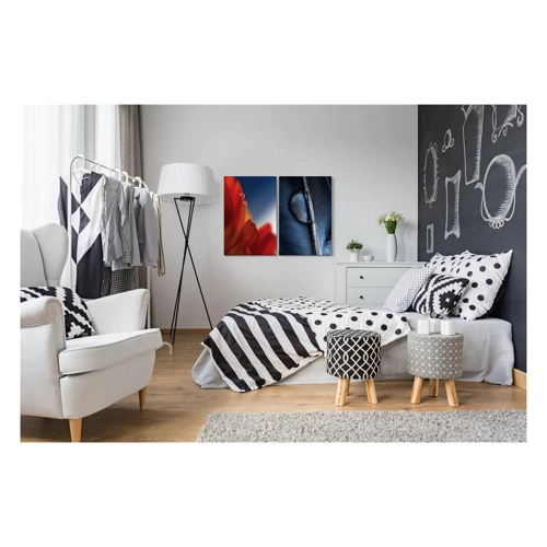 Bild von Sinus Art Leinwandbild 2 Bilder je 60x90cm - Blume Feder Rot Wassertropfen