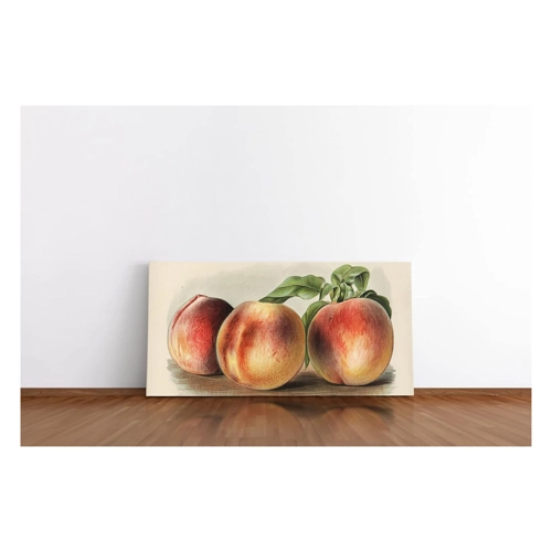 Bild von Remaster 120x60cm Alte Illustration Pfirsiche Vintage Süden Sommer Dekorativ