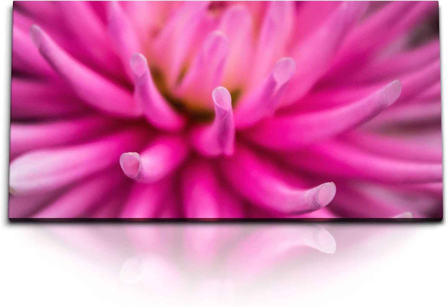 Bild von Paul Sinus Kunstdruck Bilder 120x60cm Rosa Blüte Makrofotografie Blume Kunstvoll Dekorativ