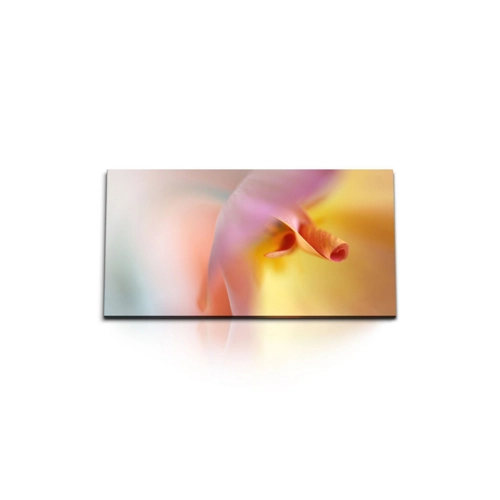 Bild von Leinwandbild Blüte Makro Orange 120x60cm von Paul Sinus Art
