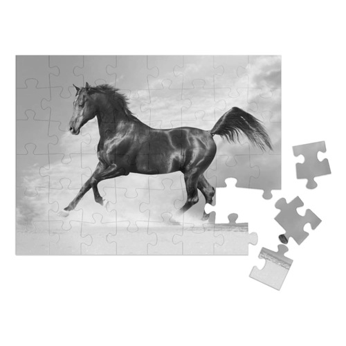 Bild von puzzleYOU: Puzzle 1000 Teile „Schwarzer Araber, Pferd im Winter“