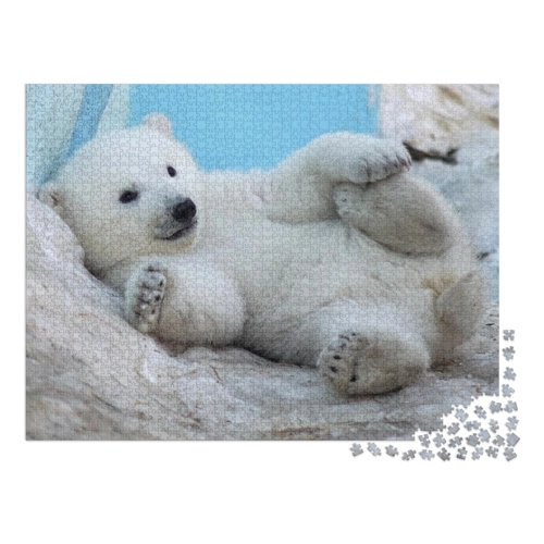 Bild von puzzleYOU Puzzle Ein Eisbärenjunges liegt auf dem Rücken im Schnee, 1000 Puzzleteile