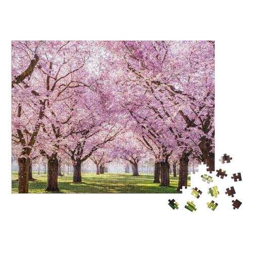 Bild von PuzzleYOU Sakura-Kirschblüten-Allee, wunderschöner Park – 1000 Teile