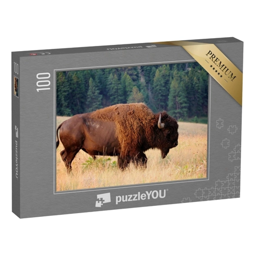 Bild von puzzleYOU: Puzzle 48 Teile „Amerikanischer Bison am frühen Morgen, Montana“