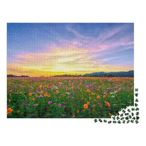 Bild von puzzleYOU: Puzzle 2000 Teile „EIN Feld mit rosa Kosmeen“