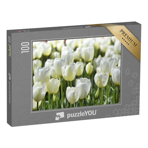Bild von puzzleYOU: Puzzle 500 Teile „Weiße Tulpen: Feld mit Blumen, Istanbul“