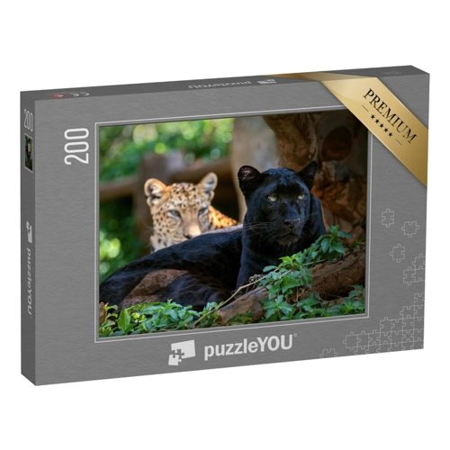 Bild von puzzleYOU: Puzzle 100 Teile „Leopard oder Panther“